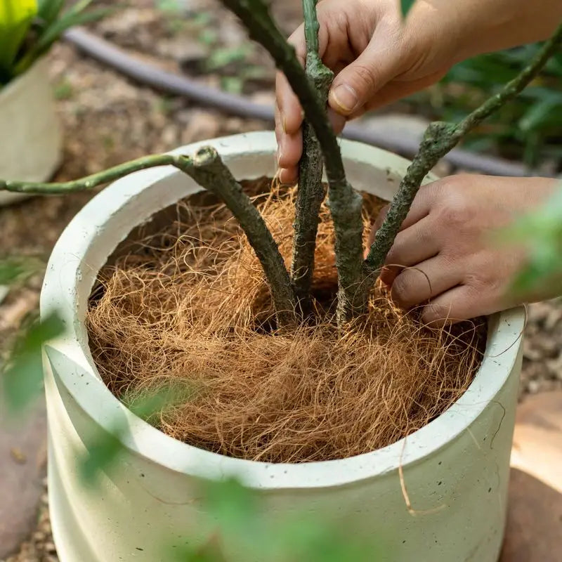 Natural Coconut Husk Fiber – Plant Cover, Bird Nest & Reptile Bedding