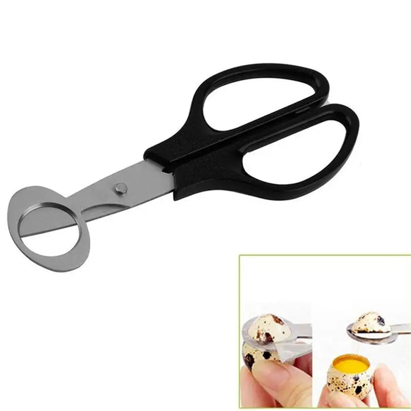 Quail Egg Scissors Cutter Opener – Stainless Steel 20 Pack