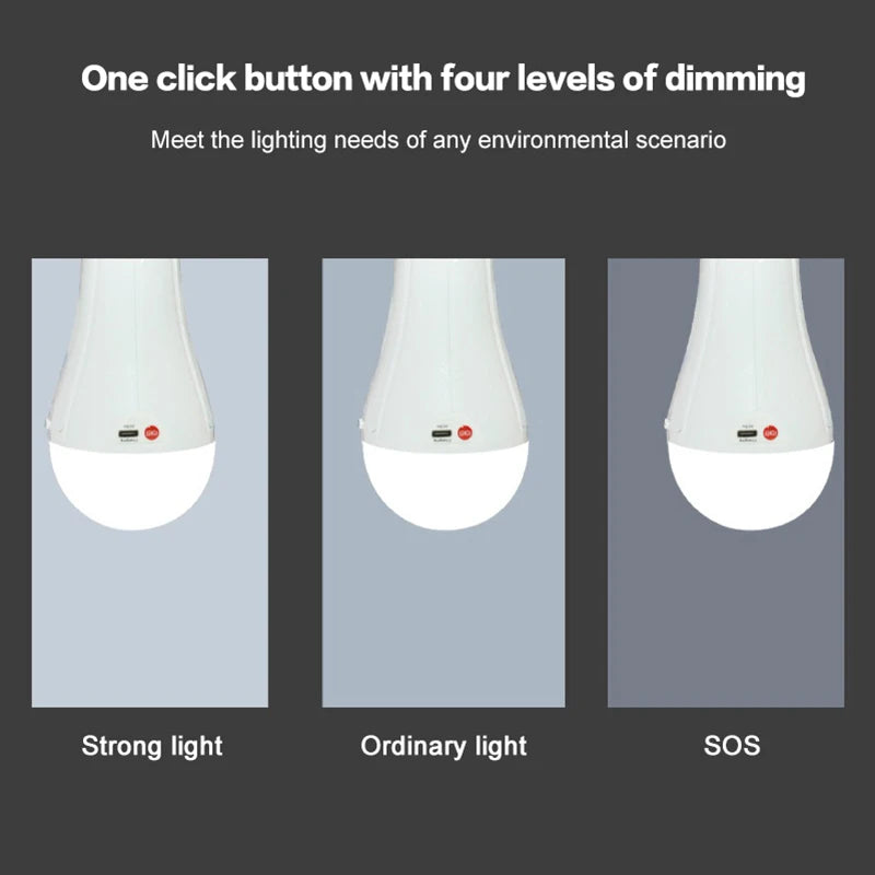 Flicker-Free LED Bulb Light Portable 20W 30W Emergency Bulb Courtyard Outdoor Bulb Removable Battery LED Charging Light Bulb Peaceful Pleasures Health and Wellness