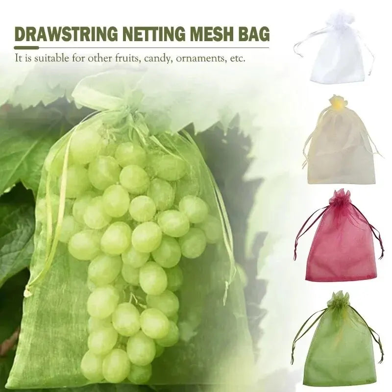 50pcs Fruit Netting Bags – Anti-Bird Mesh Garden Covers