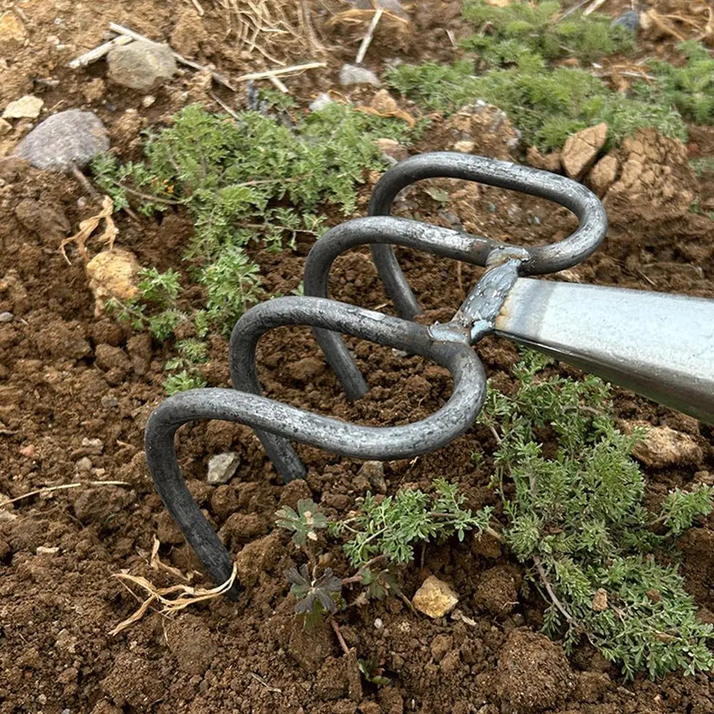 4-Tine Steel Garden Cultivator Fork Head | Weeding & Digging
