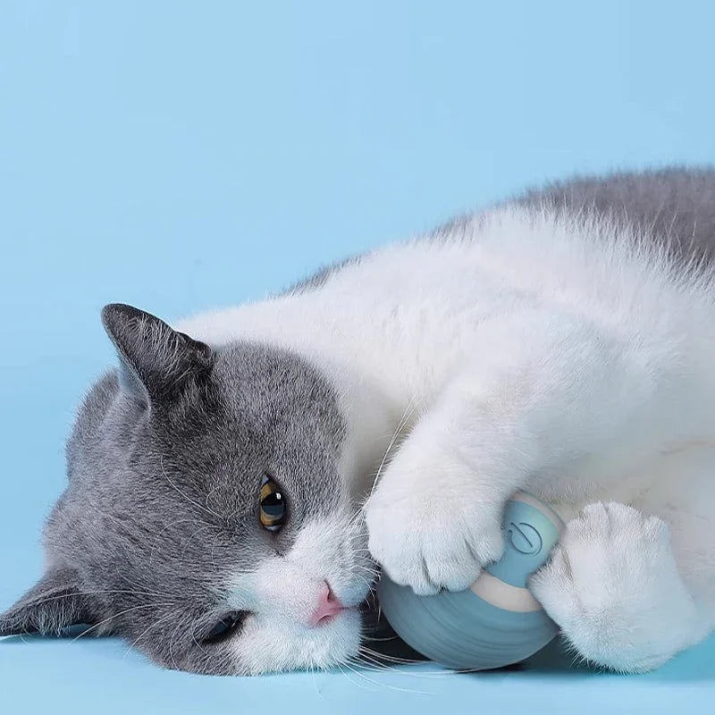 Electric Auto-Rolling Cat Ball Toy | USB Rechargeable Interactive