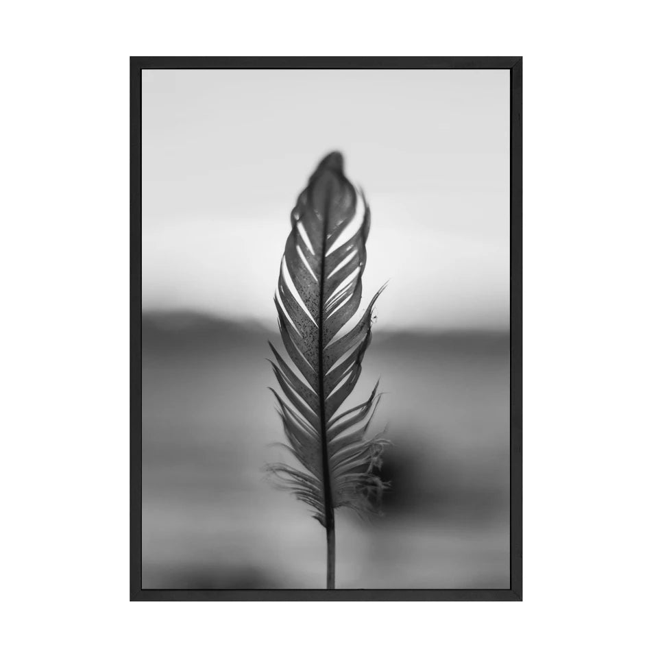 Llama in a Taxi NYC Times Square Canvas Wall Art | B&W Print