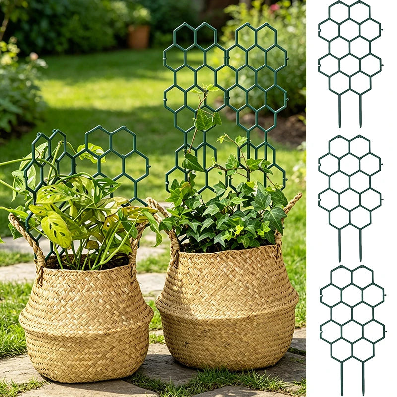 Honeycomb Plant Trellis | Indoor & Outdoor Climbing Support Stake Plant Trellis Stake Peaceful Pleasures Health and Wellness