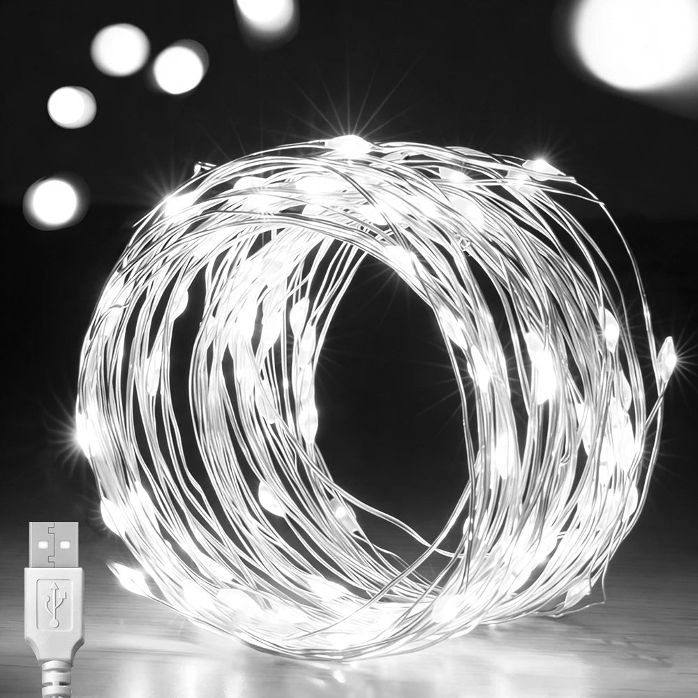 RUNTOIN 20m 200 LED USB Fairy String Lights | Waterproof Copper
