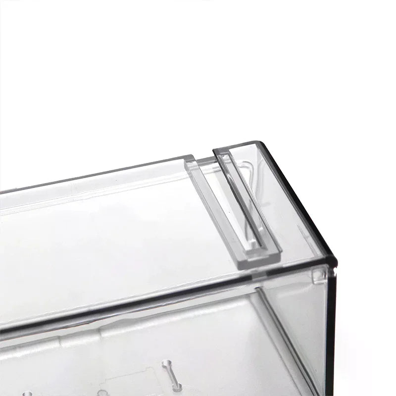 Double-Layer Transparent Car Model Display Box | Dustproof Model Display Case Peaceful Pleasures Health and Wellness