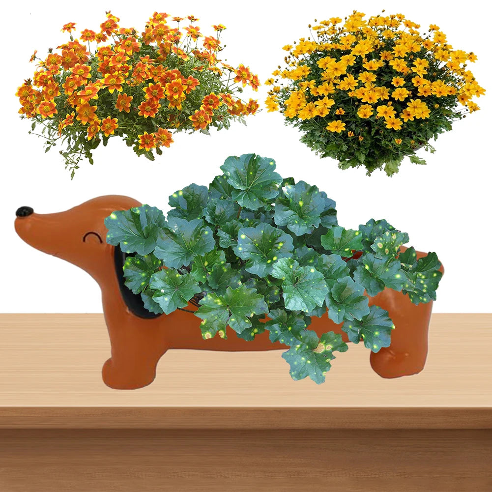 Dachshund Resin Plant Pot | Succulent Planter Indoor & Outdoor