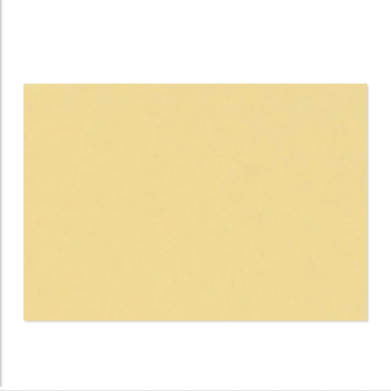 Electric Guitar Bass Panel Guard Plate Rear Cover Material Blank Wool