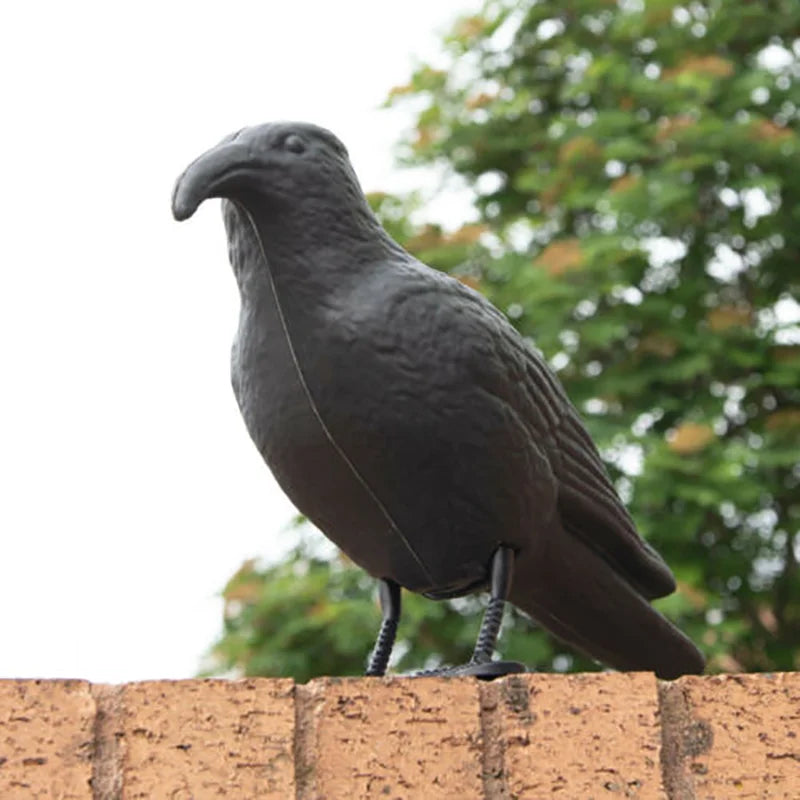 Realistic Crow Decoy Bird Scarer | Pigeon Pest Deterrent