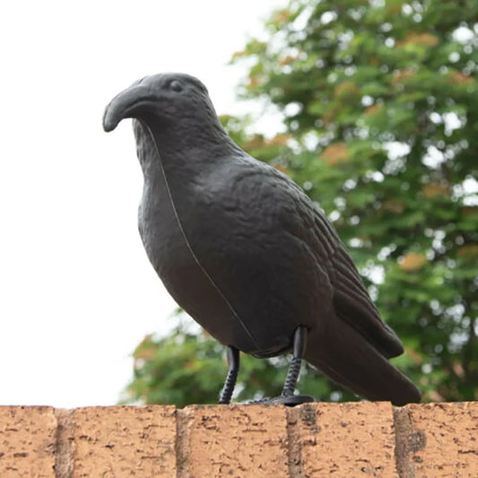 Realistic Crow Decoy Bird Scarer | Pigeon Pest Deterrent Bird Scarer Decoy Oasis Select