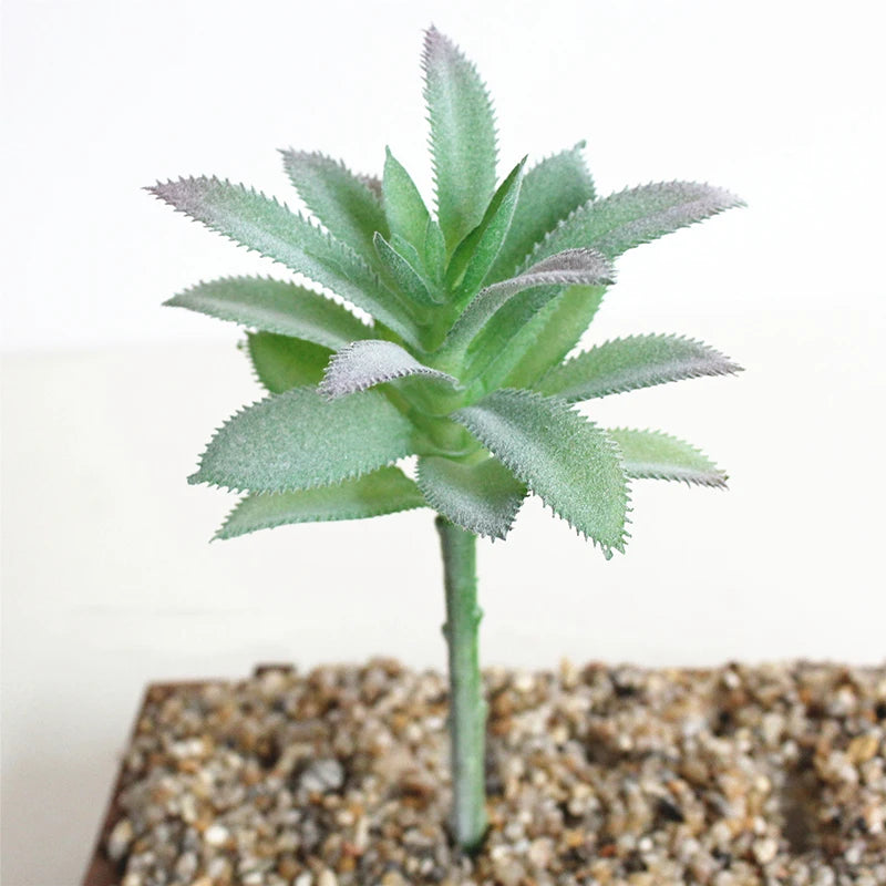 Artifical Plastic Succulent Plant Realistic Textured Cactus Mini Faux