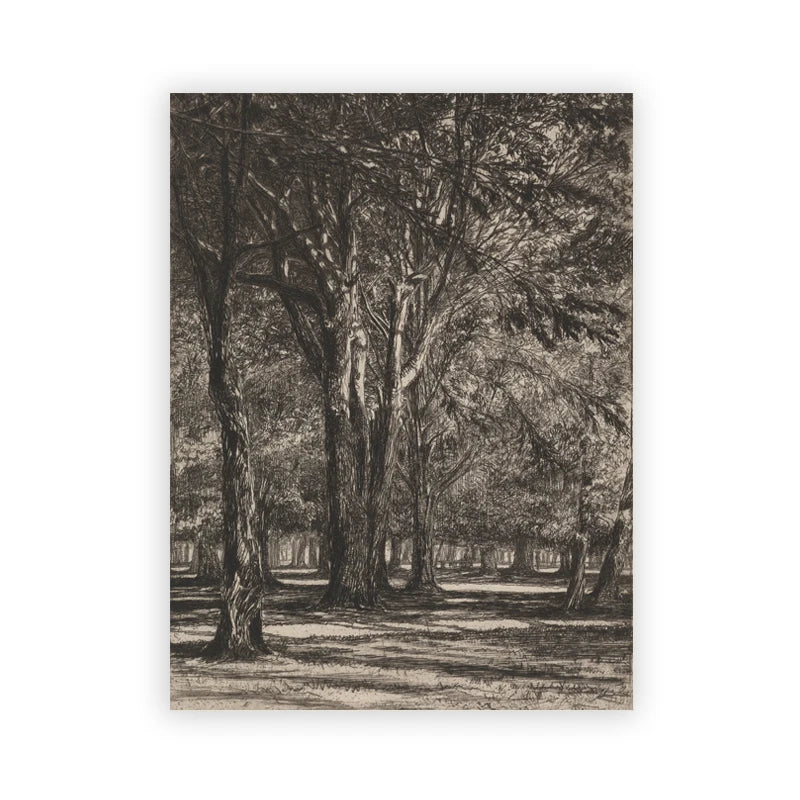 Farmhouse Botanical Canvas Wall Art – Vintage Rustic Tree Print Canvas Wall Art Peaceful Pleasures Health and Wellness T80284-09 40x50cm Unframed