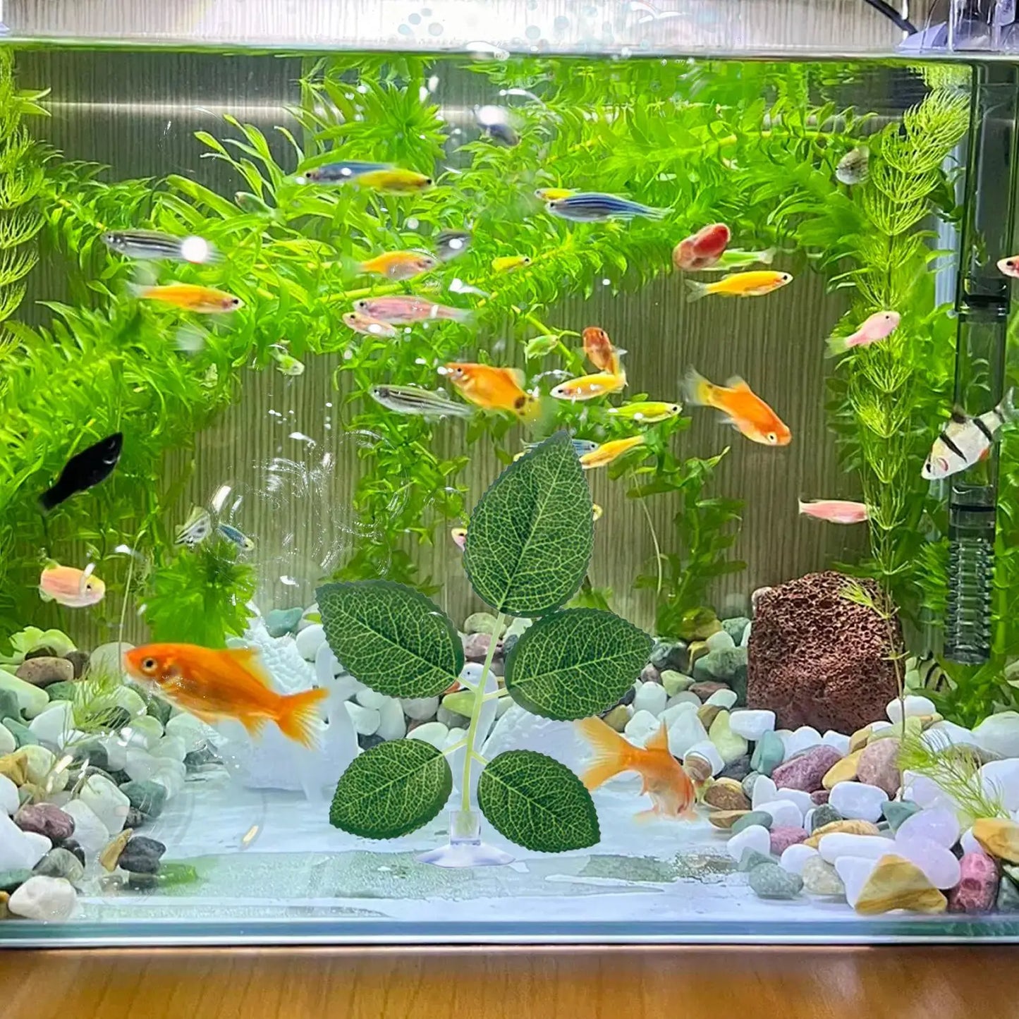 Betta Fish Leaf Hammock with Suction Cup | Aquarium Decor