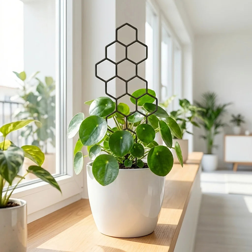 Leaf Shape Indoor Plant Trellis for Potted Climbing Plants