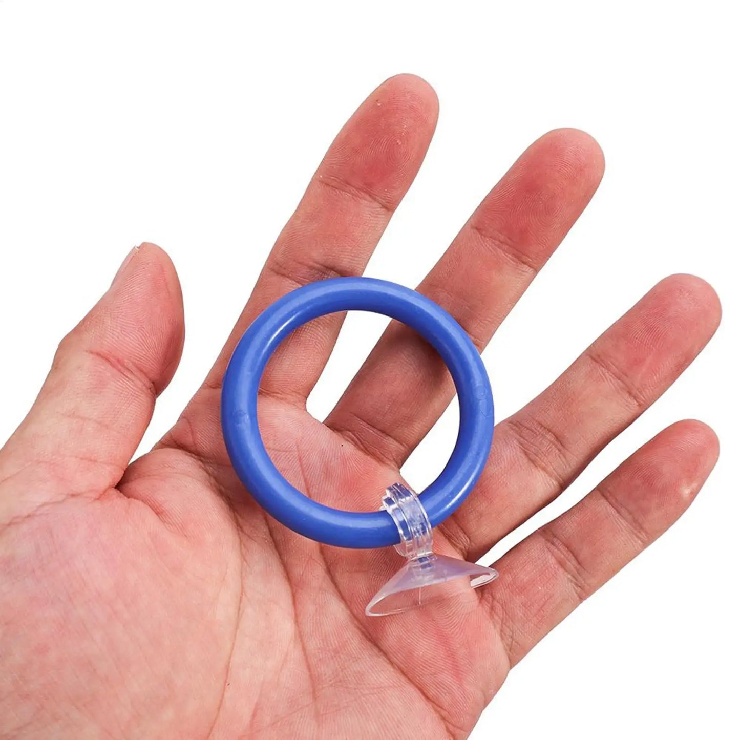2-Pack Floating Fish Feeding Ring with Suction Cup | Betta & Turtle