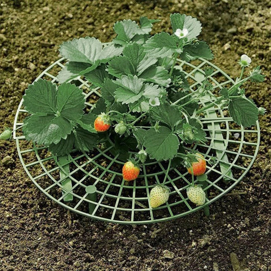 Plant Support Brackets for Strawberries & Climbing Vines – 10-Pack Peaceful Pleasures Health and Wellness