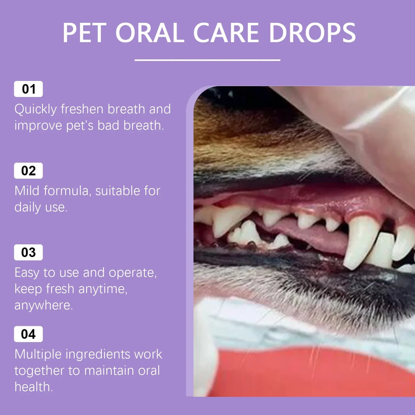YEGBONG 50ml Pet Oral Spray – Fresh Breath, Plaque & Tartar