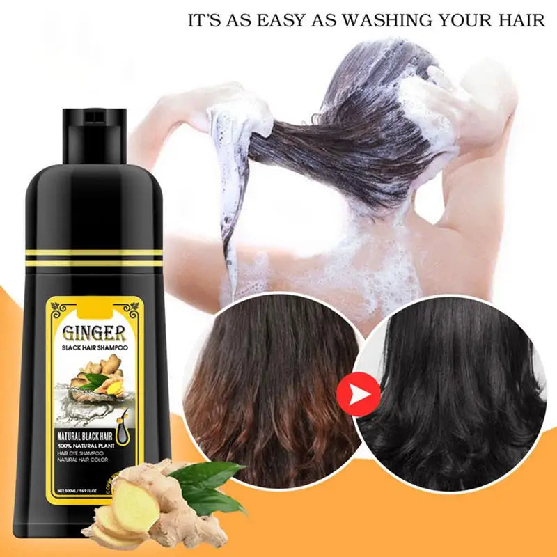 Ginger & Coconut Black Hair Dye Shampoo 500ml – Color Gray Hair