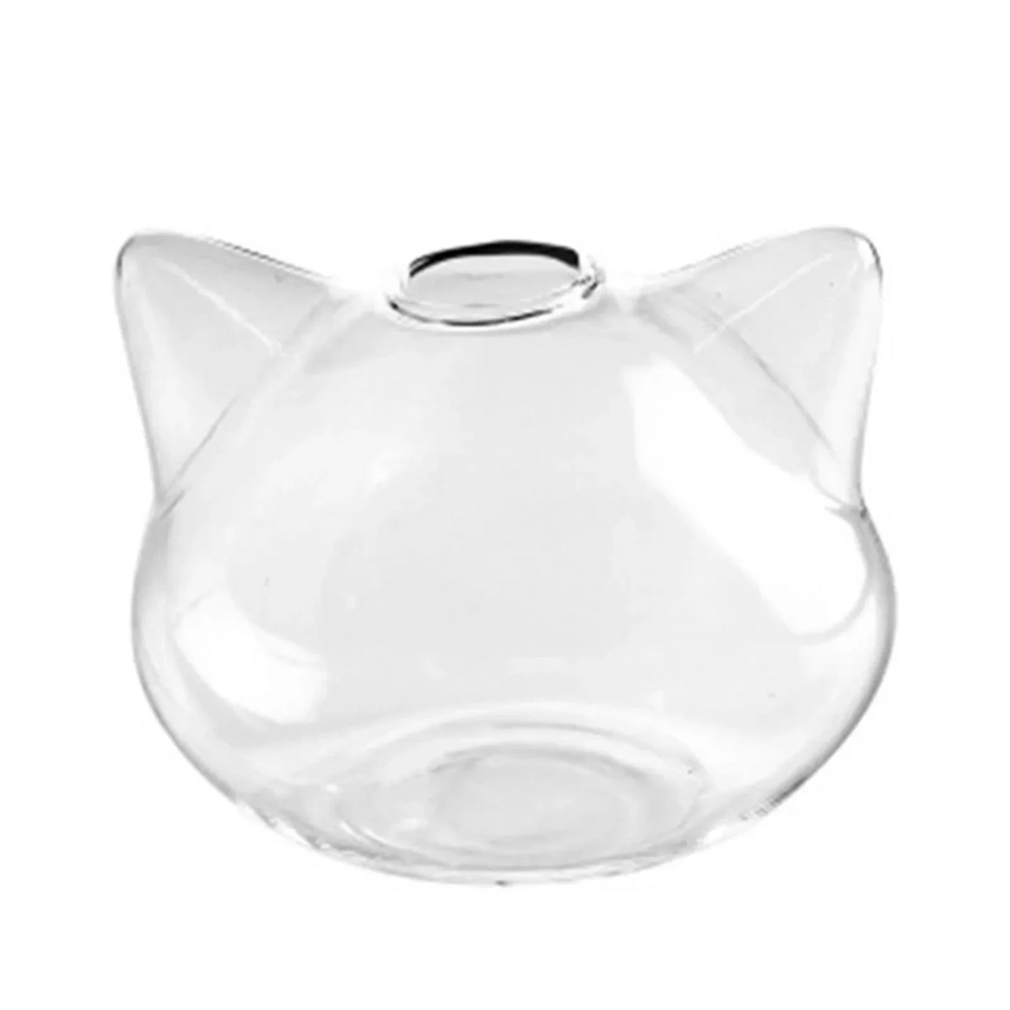 Cat-Shaped Glass Vase | Hydroponic Succulent Planter & Terrarium