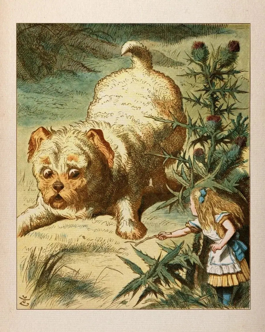 Wonderland Retro Fairy Tale Canvas Wall Art for Kids Room