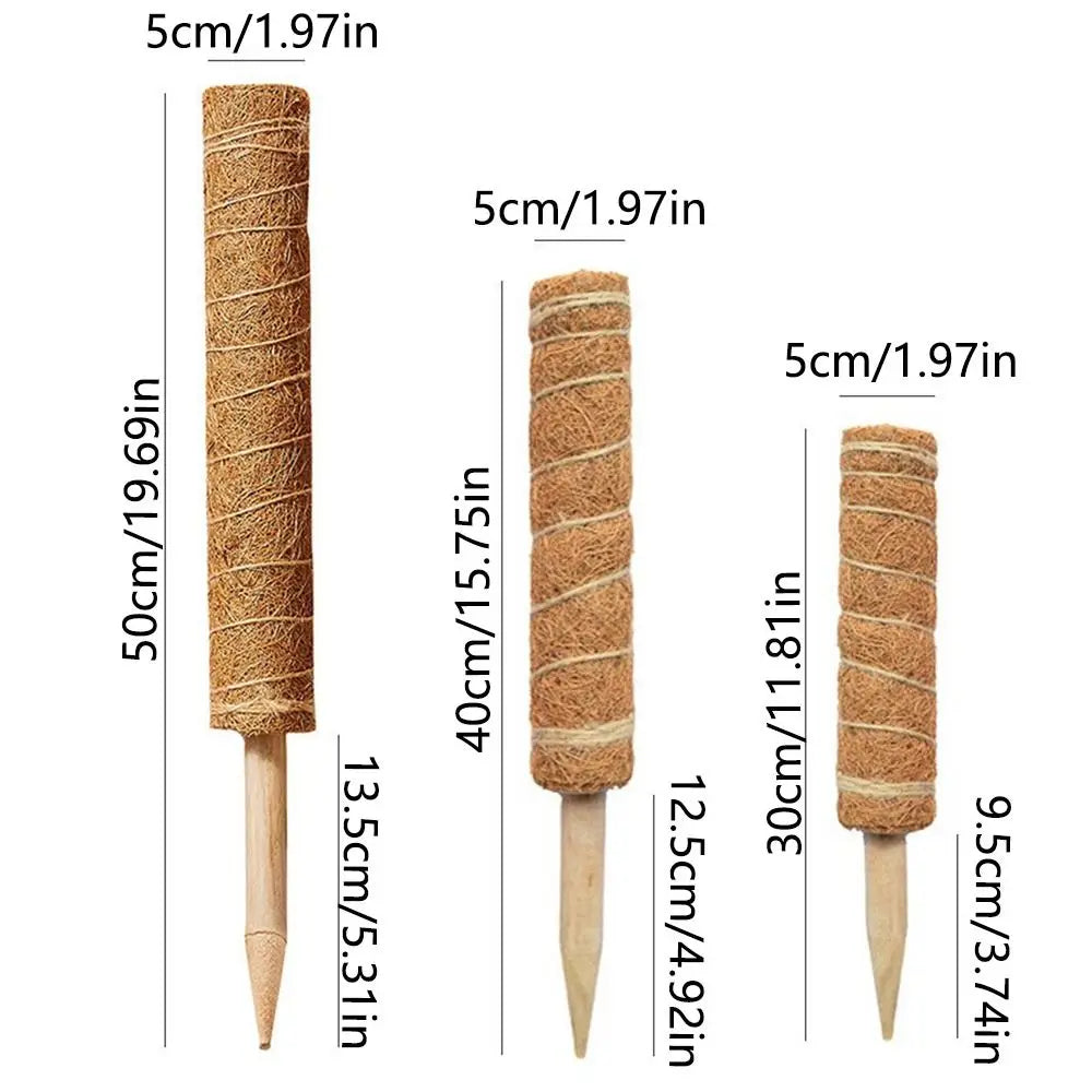 Stackable Coir Moss Pole 30/40/50cm | Plant Climbing Support