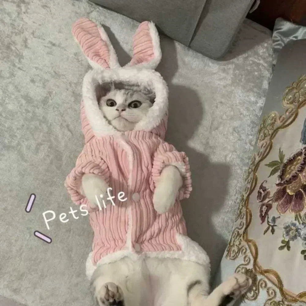 Winter Rabbit Ear Teddy Bear Dog Cat Clothes Warm Comfortable Elastic Cute Pet Coat Clothing for Small Dogs Peaceful Pleasures Health and Wellness