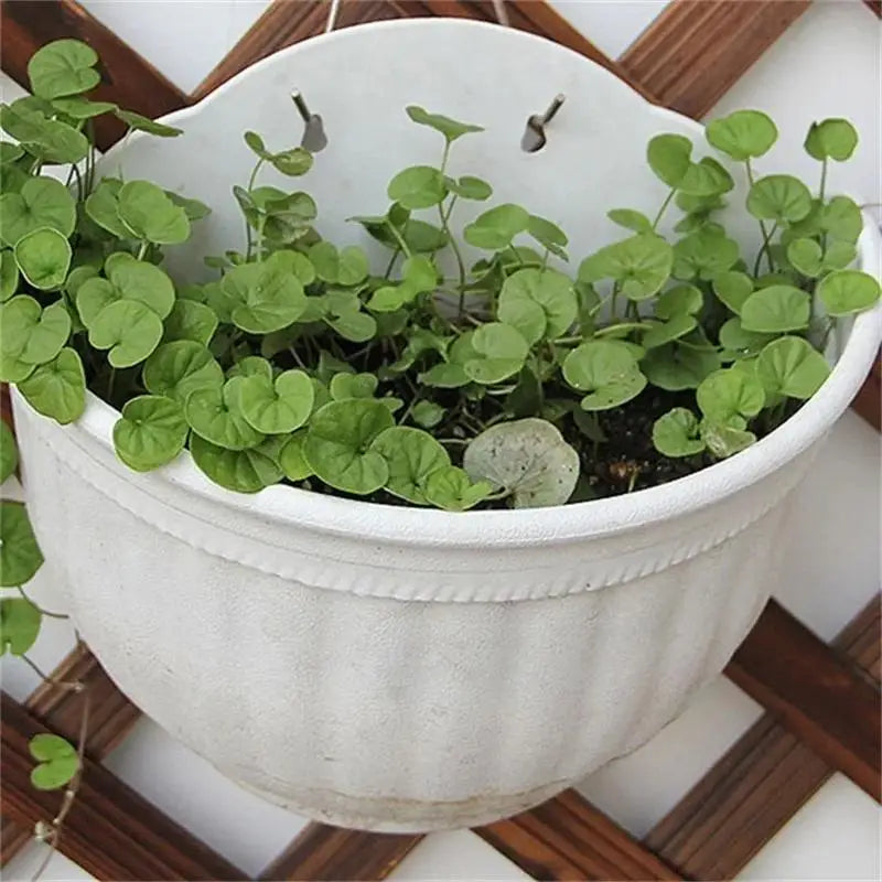 Wall Mounted Plastic Flowerpot Resin Gardening Colored Green