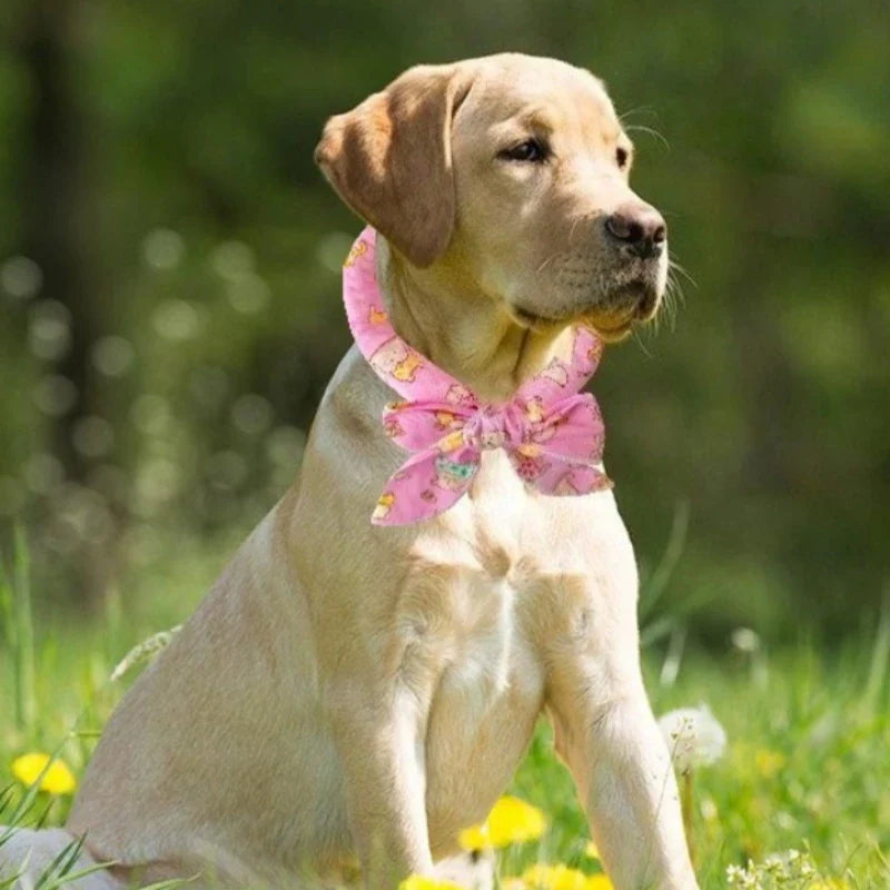 Pet Cooling Scarf Ice Bandana for Dogs & Cats – 2 Pack