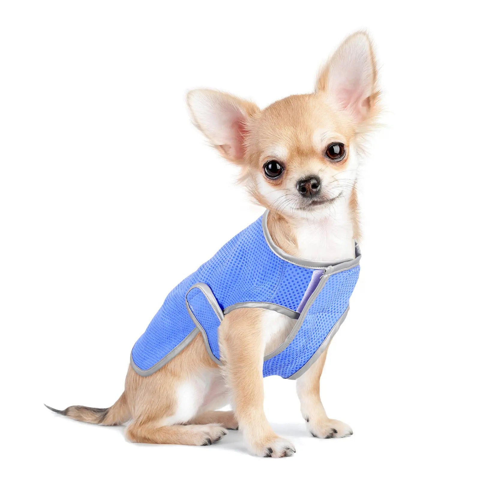 Dog Cooling Vest Puppy Cooling Waistcoat Size S Lightweight Pva Technology Comfortable Breathable Pet Supply Shirt Peaceful Pleasures Health and Wellness