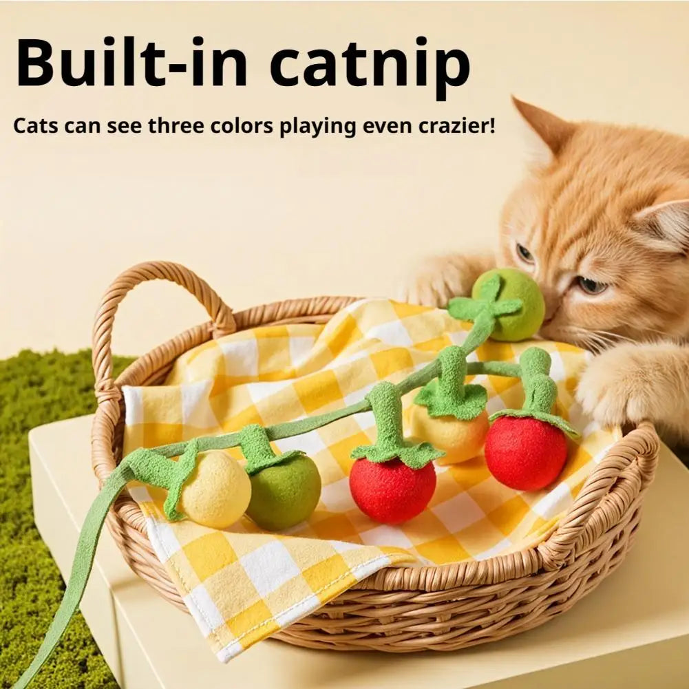 Interactive Catnip Bell Cat Teaser Toy – Cherry Tomato 3-Pack