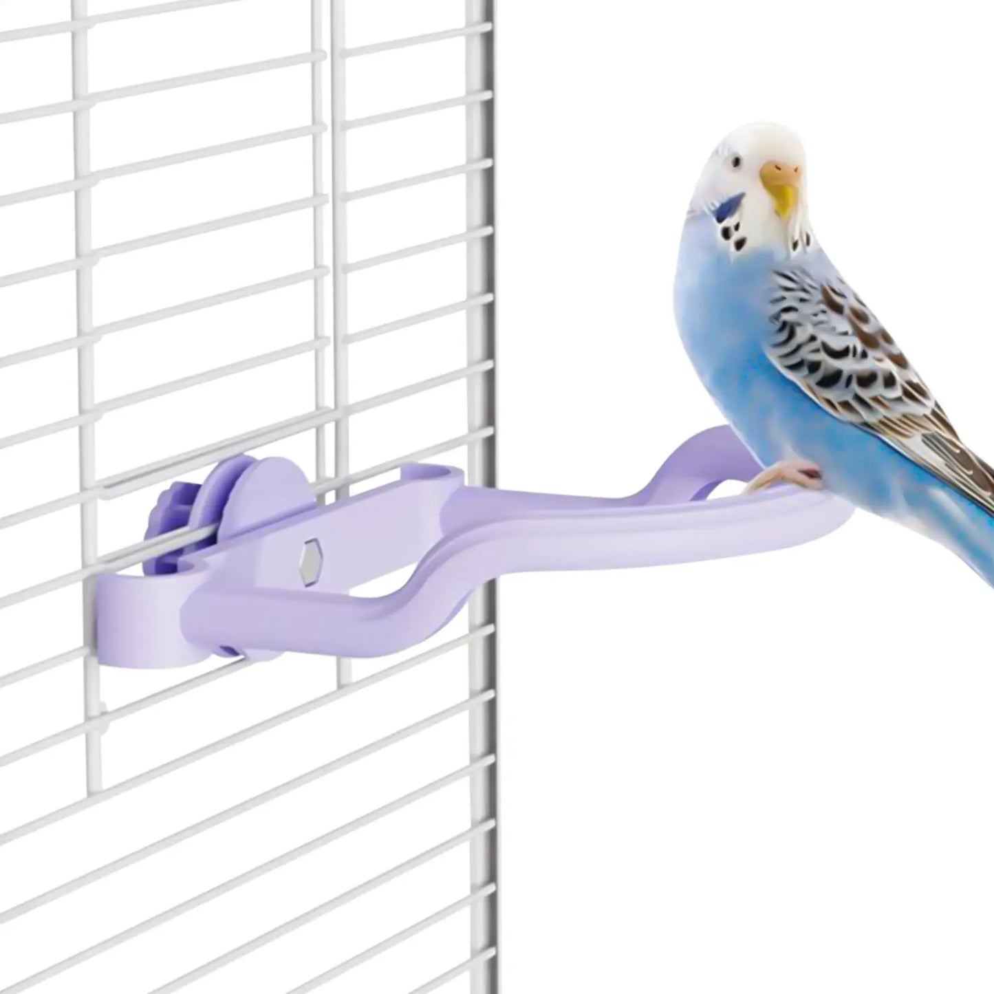 Metal Bird Perch Stand | Climbing & Paw Grinding Toy for Birds