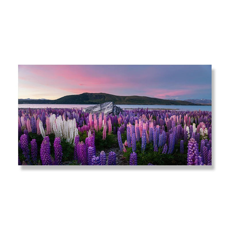 Lake Tekapo New Zealand Landscape Picture Canvas Painting Wall Art Lupin Flower Nature Mountain Posters Prints Living Room Decor Peaceful Pleasures Health and Wellness w3739 flower-7 30x60cm