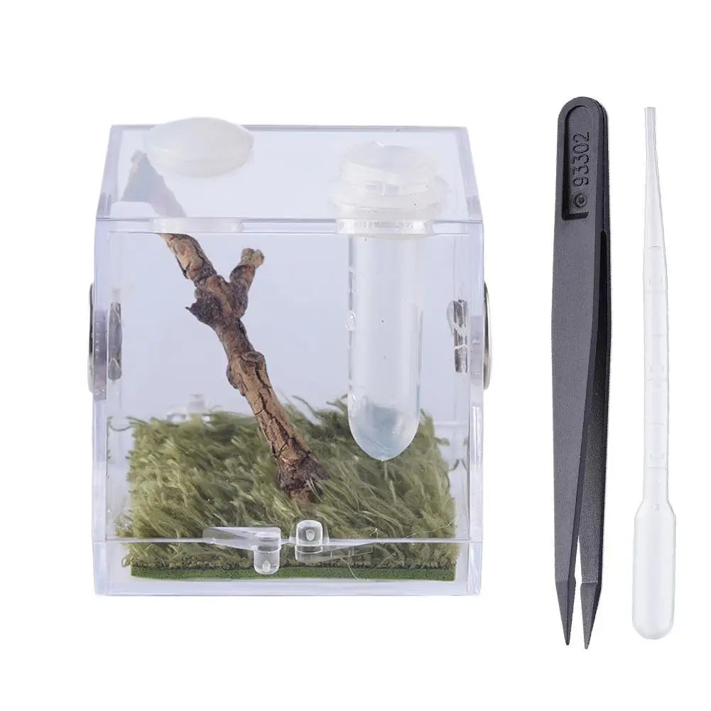 Small Reptile Feeding Box for Breeding and Feeding Insects Peaceful Pleasures Health and Wellness