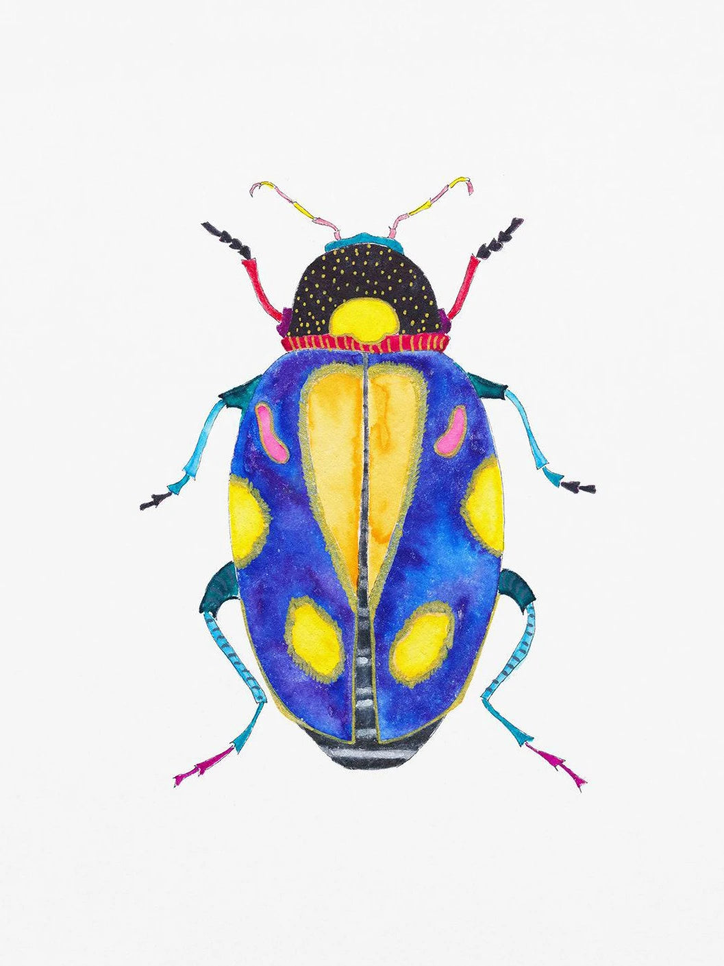 Watercolor Insect Canvas Print | Nursery & Kids Room Wall Art
