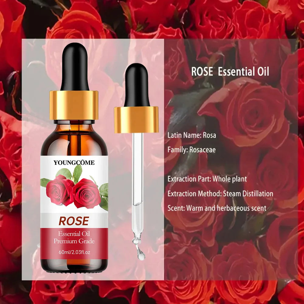 Rosehip Essential Oil – Hair, Face & Body Moisturizing Oil