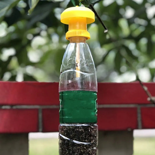 10-Pack Yellow Sticky Fruit Fly Traps | Hanging Insect Catchers Insect Sticky Trap Oasis Select