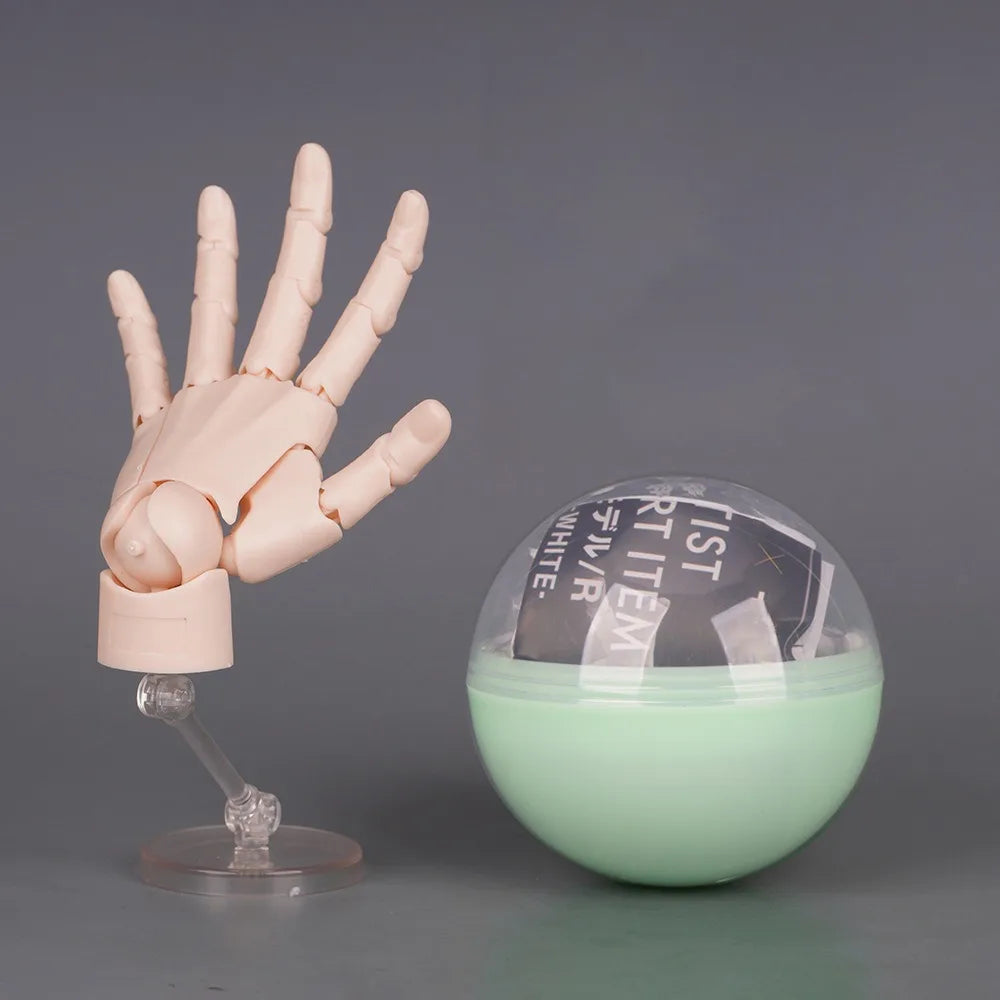 1:2 Scale Articulated Hand Model – Posable Fingers for Artists