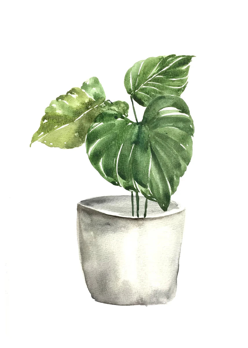 Plant Potted Watercolor Poster Family Garden Houseplant Botanical Canvas Printing Wall Art Picture for Living Room Home Decor Peaceful Pleasures Health and Wellness DM92-2 50x70cm Unframed
