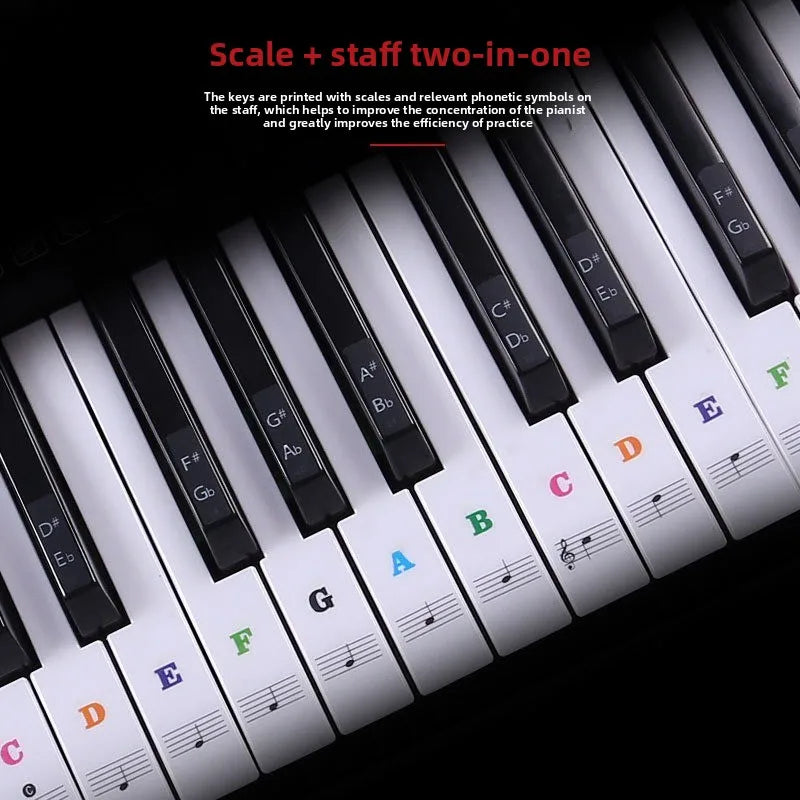 88 61 54 49 Key Piano Transparent Sticker Electronic Organ Keyboard