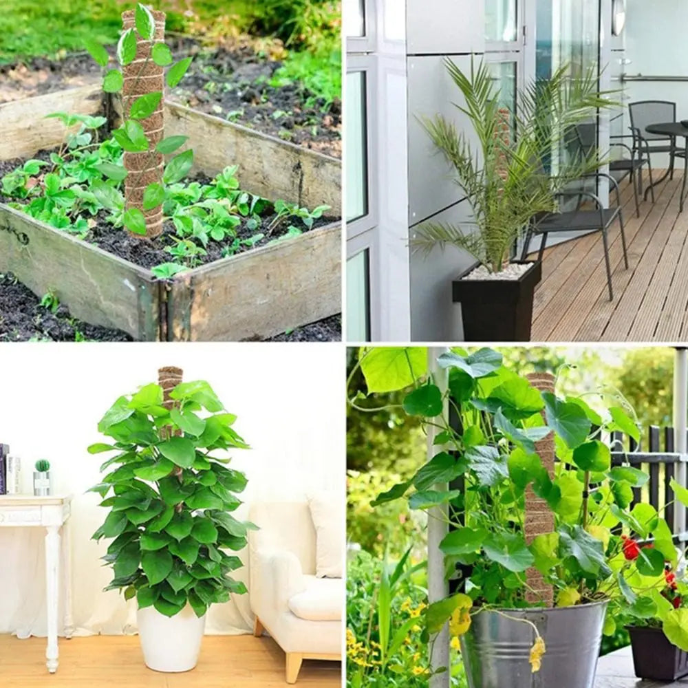 Stackable Coir Moss Pole 30/40/50cm | Plant Climbing Support