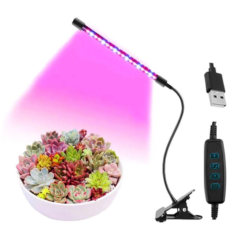 Full Spectrum LED Grow Light for Indoor Plants & Succulents