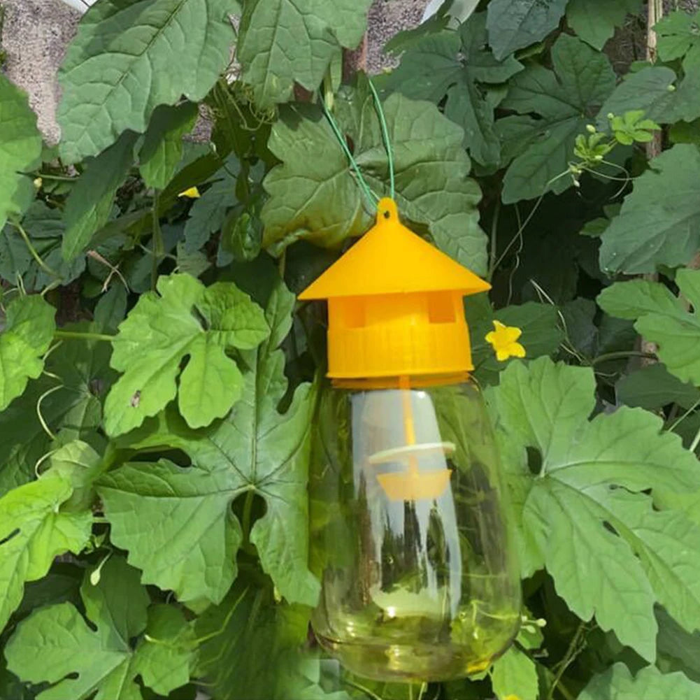 Reusable Fruit Fly Trap for Orchards & Gardens Peaceful Pleasures Health and Wellness