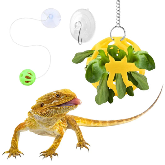 Toys For Bearded Dragons Lizard Foraging Playing Interactive Lizard Feed Ball For Keepers Pet Parents Animal Lovers Terrarium Peaceful Pleasures Health and Wellness China Mainland