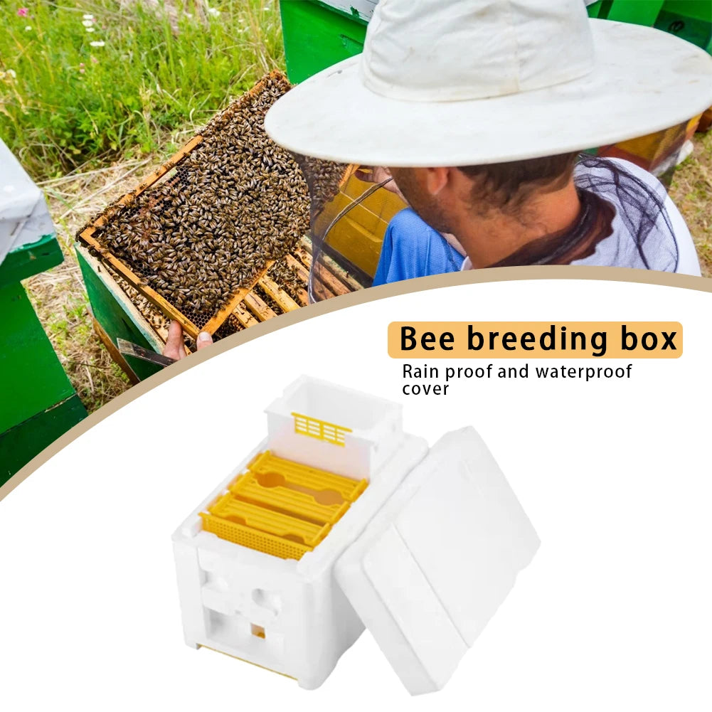 Beehive Frame Holder & Beekeeping Starter Kit – Cedar & Foam Box Peaceful Pleasures Health and Wellness