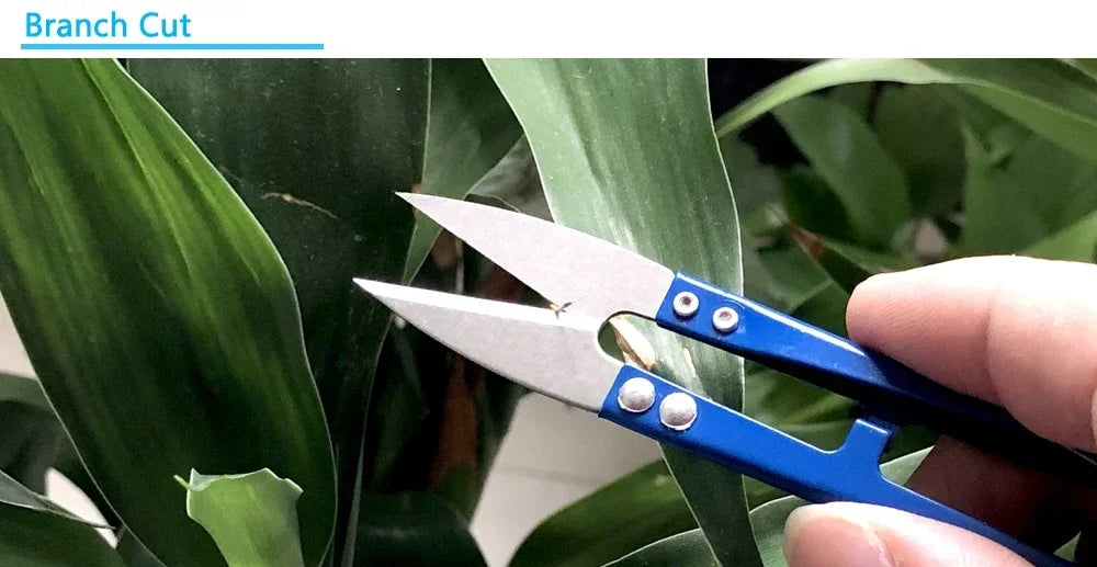 1/3pcs Sewing Scissors Pruning Shears Gardening Plant Scissor Branch Pruner Trimmer Tool Clothes Thread Cutting Cutters Peaceful Pleasures Health and Wellness