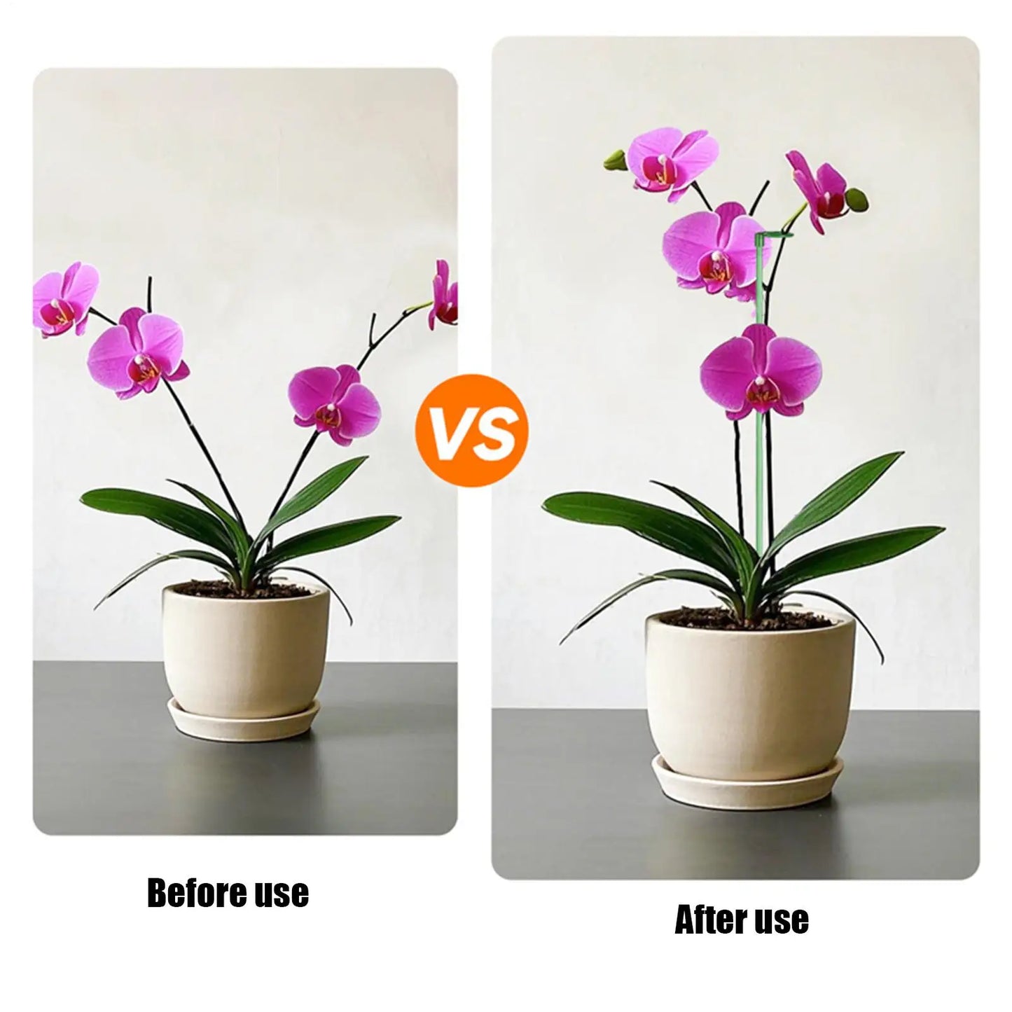Reusable Ring Plant Stakes | Indoor & Outdoor Flower Support