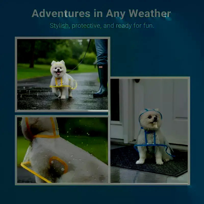 Transparent Waterproof Dog Raincoat XS–4XL | Clear PVC Pet Coat