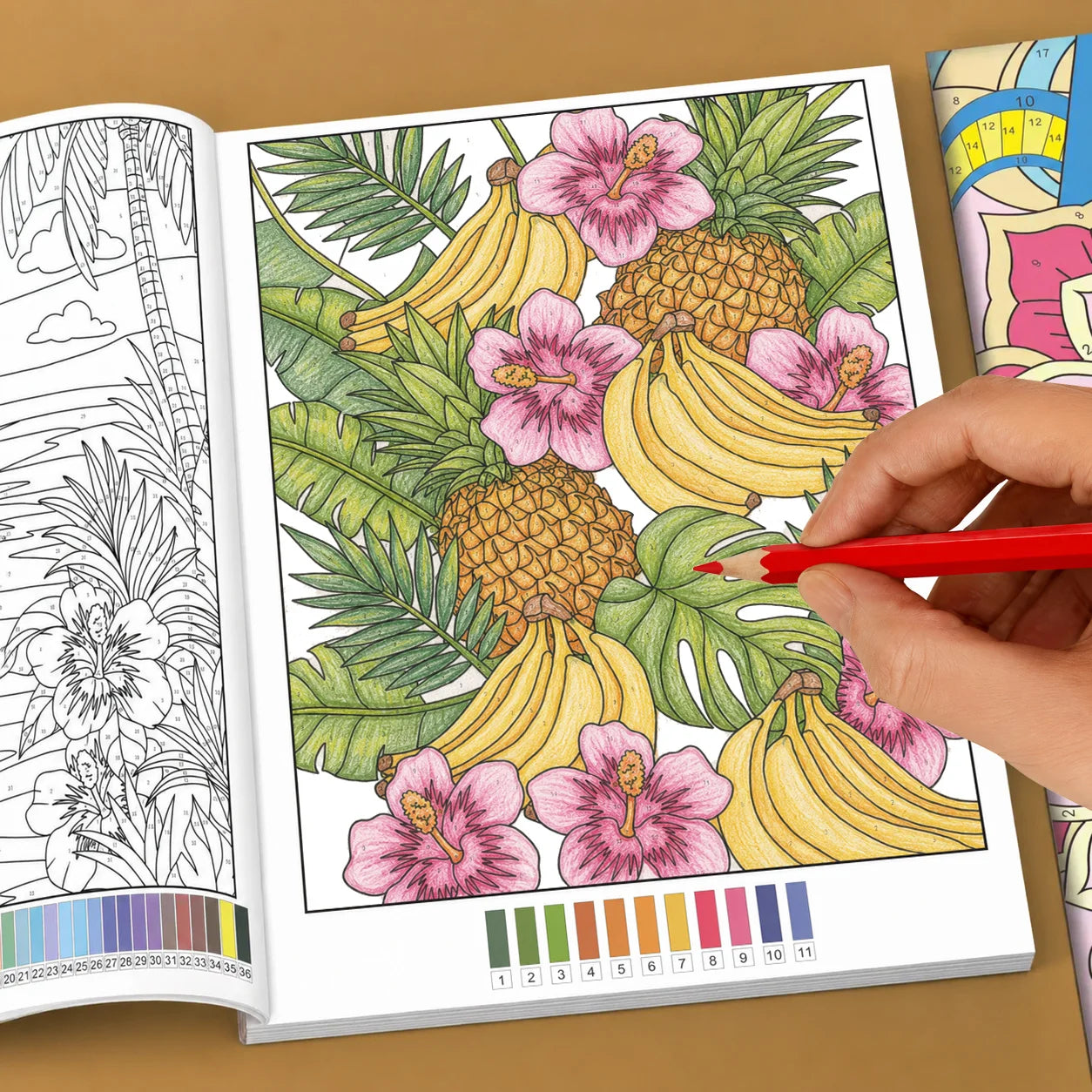 Number Coloring Book Adults 32 Pages Mandala Flower Animal Patterns