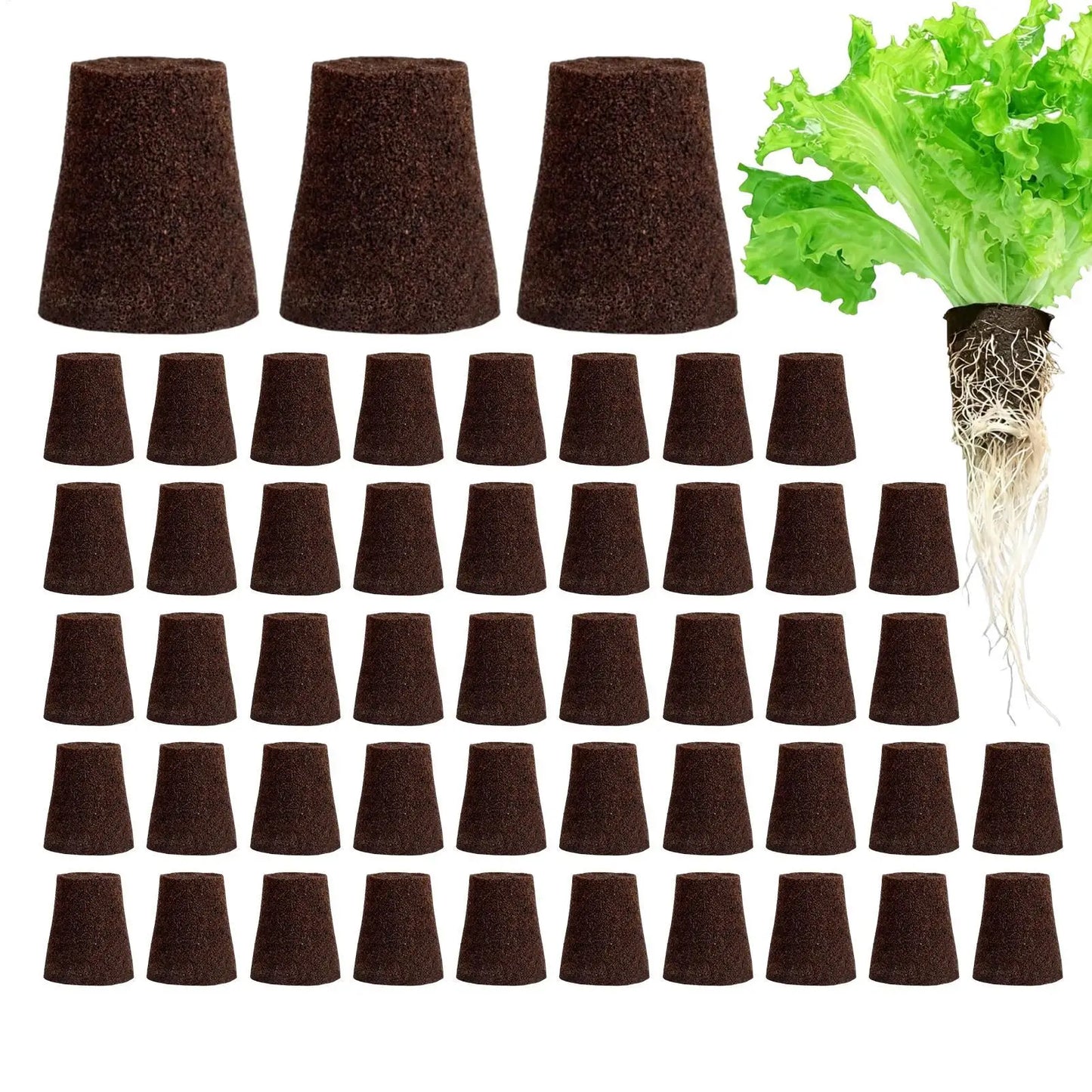 50-Pack Hydroponic Grow Sponges | Seedling Starter Plugs