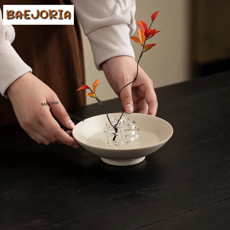 BAEJORIA Glass Ball Vase | Hydroponics Flower Pot & Tea Decor
